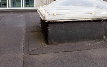 disadvantages of Canford Magna flat roofs