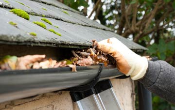 gutter cleaning Canford Magna, Dorset