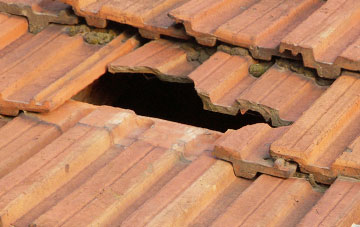 roof repair Canford Magna, Dorset