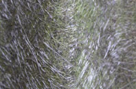 Canford Magna fibreglass roof work